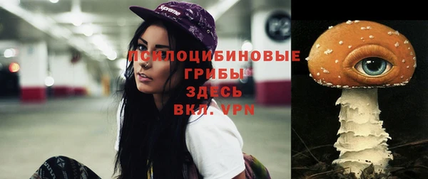 дмт Алексин