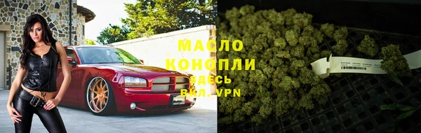 дмт Алексин