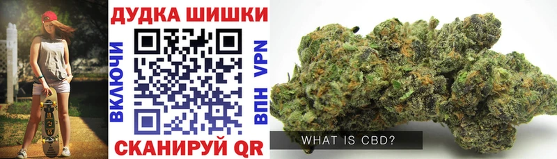 Каннабис OG Kush Кувшиново